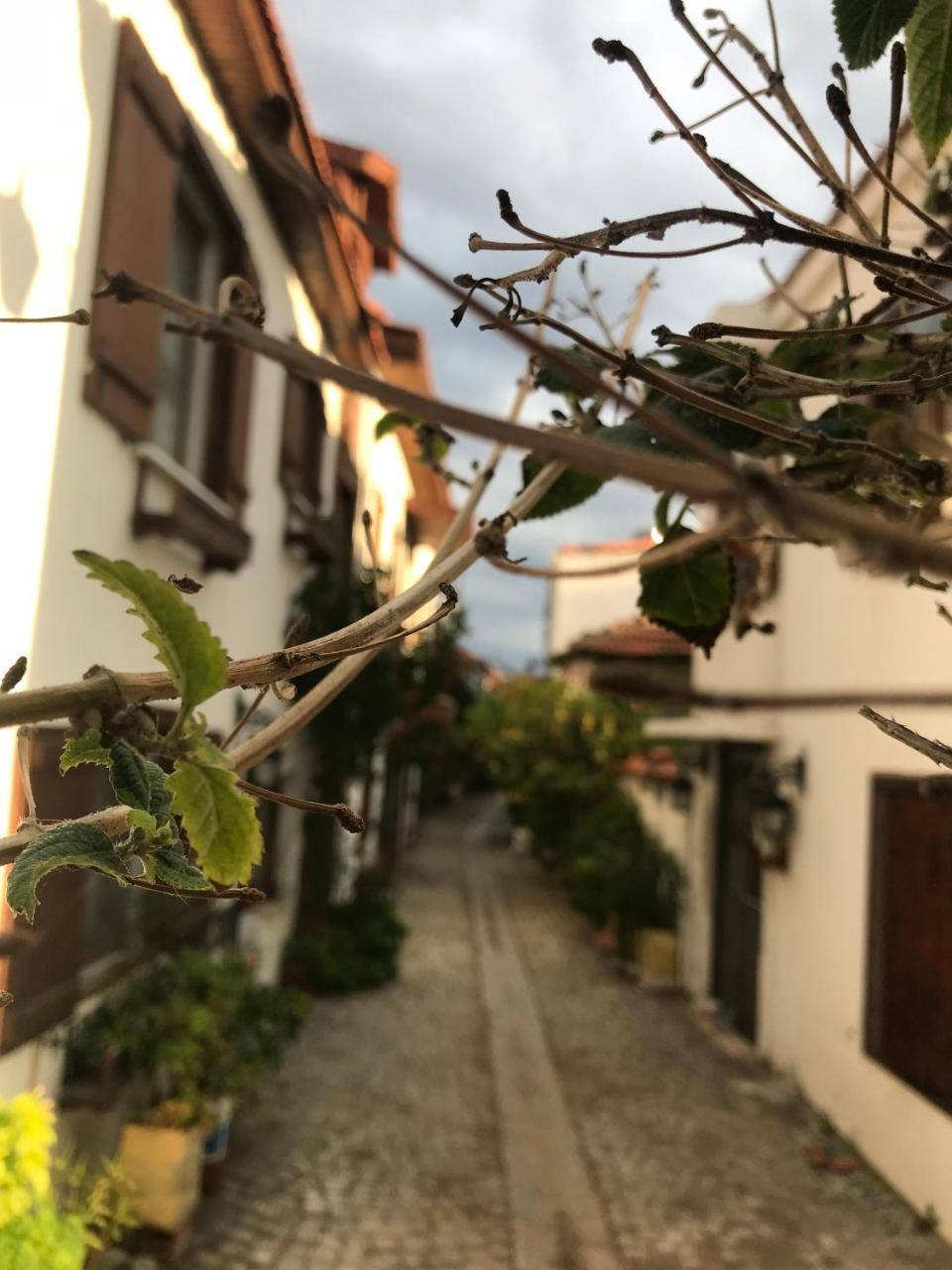 Silenos Boutique Hotel セェフェリヒサール エクステリア 写真